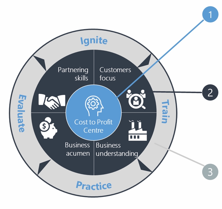 BPI business partnering development framework