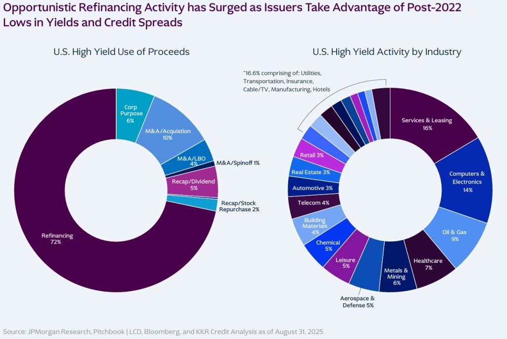U.S. Credit Market Review by Use and Industry